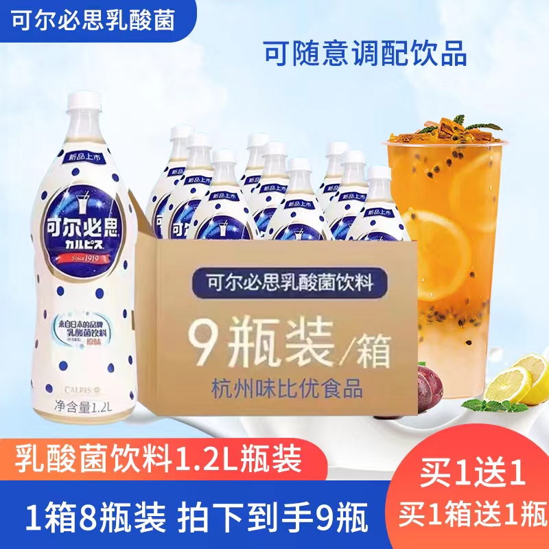 可尔必思瓶装1.2L商用乳酸菌饮料