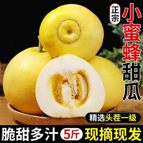 山东小蜜蜂甜瓜5斤新鲜香瓜当季现摘脆甜蜜瓜奶香瓜孕妇大果包邮1