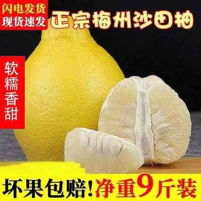 正宗广东梅州沙田柚金柚新鲜孕妇水果纯甜老树柚子非广西容县