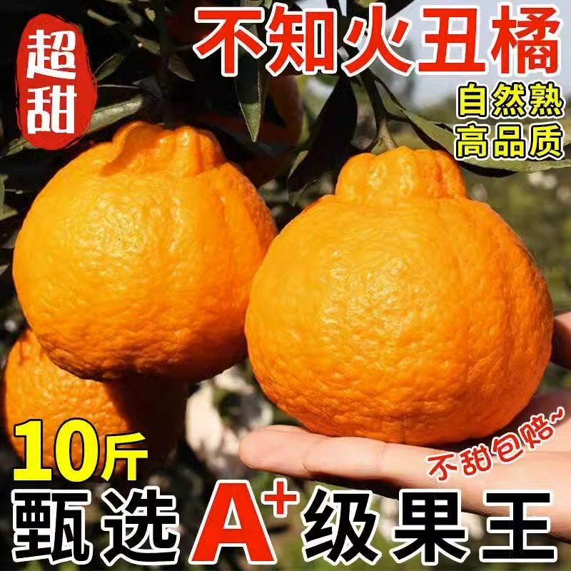 云南丑橘不知火丑橘新鲜5斤整箱水果当季粑粑丑八怪柑橘耙耙桔子,水产肉类/新鲜蔬果/熟食,桔子,淘宝优惠券,粉丝福利购,淘宝优惠卷