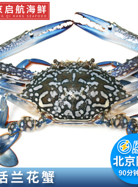 保鲜不保活 约5两/只 海南兰花蟹 北京闪送 飞蟹母膏蟹沙母蟹公蟹