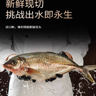 1条4斤 北京闪送 大连 大竹荚鱼 冰鲜 池鱼王 大竹夹鱼 日料刺身