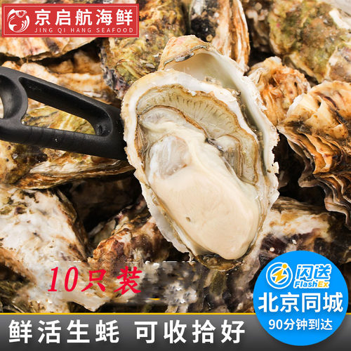 乳山生蚝海蛎子牡蛎10只装