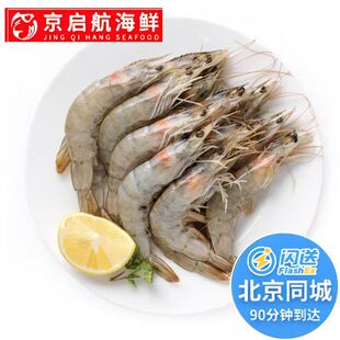 单只汽冻非板冻 超大号 1.8kg 厄瓜多尔进口白虾 海鲜 南美对虾