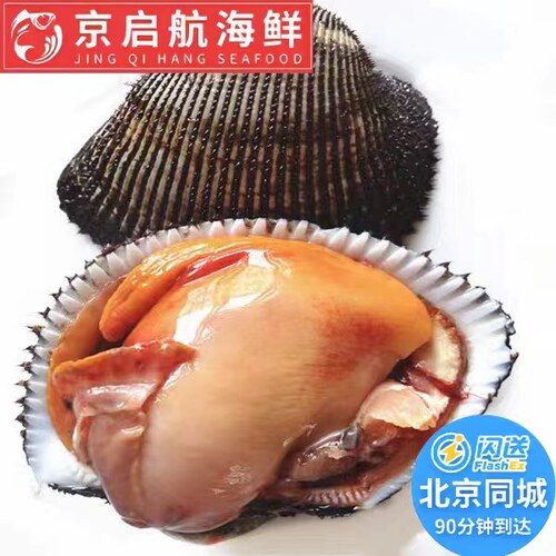 鲜活赤贝推荐刺身贝类