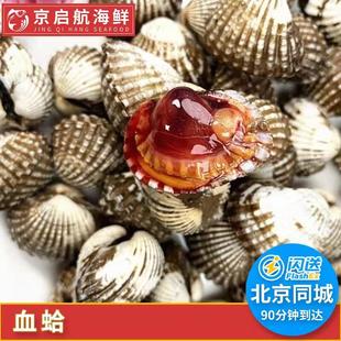 血蛤血蚶 北京闪送贝类野生醉血蛤大海螺鲜活海鲜即食醉银蚶毛蚶