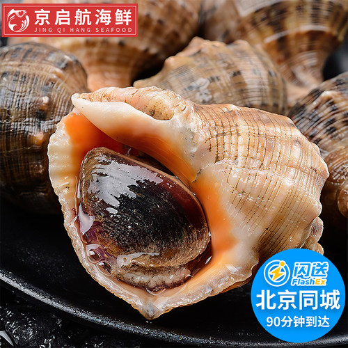 海螺海鲜鲜活海螺北京闪送