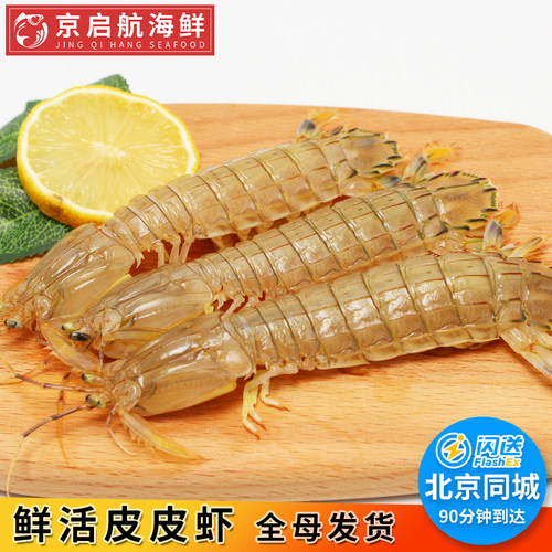 500g现货全母皮皮虾新鲜琵琶