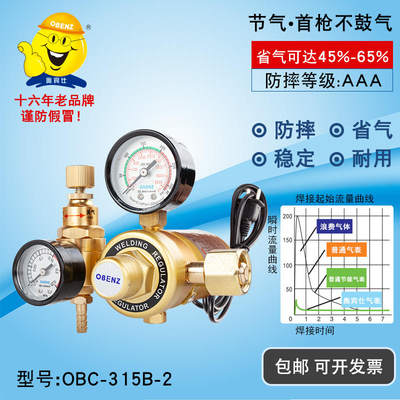 奥宾仕二氧气化碳气表减压阀双压阀压力表节能省气36V220V 315B-2