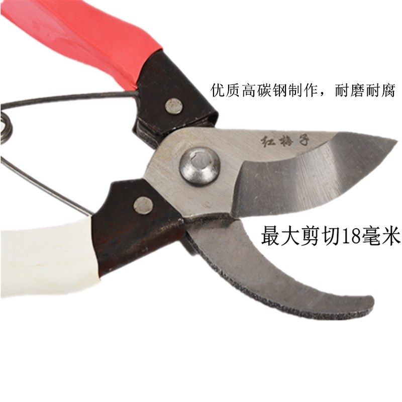花剪修枝剪葡萄摘果园林园艺剪刀高碳锈钢花果稀果剪红梅子粗枝剪,个性定制/设计服务/DIY,明信片定制,淘宝优惠券,粉丝福利购,淘宝优惠卷