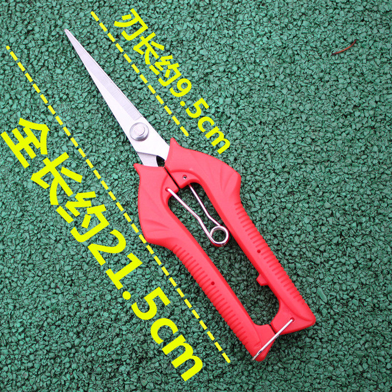 稀果剪葡萄采果剪柑橘剪桔子蔬果剪摘果剪果园果树剪采摘花椒剪刀,个性定制/设计服务/DIY,明信片定制,淘宝优惠券,粉丝福利购,淘宝优惠卷