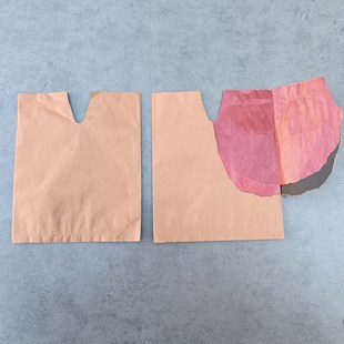 黄金奈李套袋李子套袋专用袋李子套果的袋子李子专用套袋李子果袋