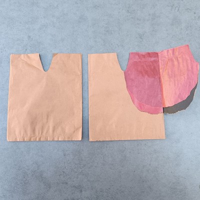 黄金奈李套袋李子套袋专用袋李子套果的袋子李子专用套袋李子果袋