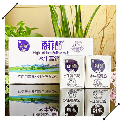 百菲酪水牛奶学生儿童成长