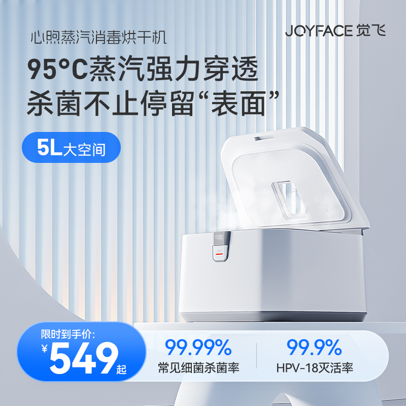 觉飞心煦内衣裤蒸汽消毒烘干机杀菌专用小型家用干婴儿衣物盒器柜