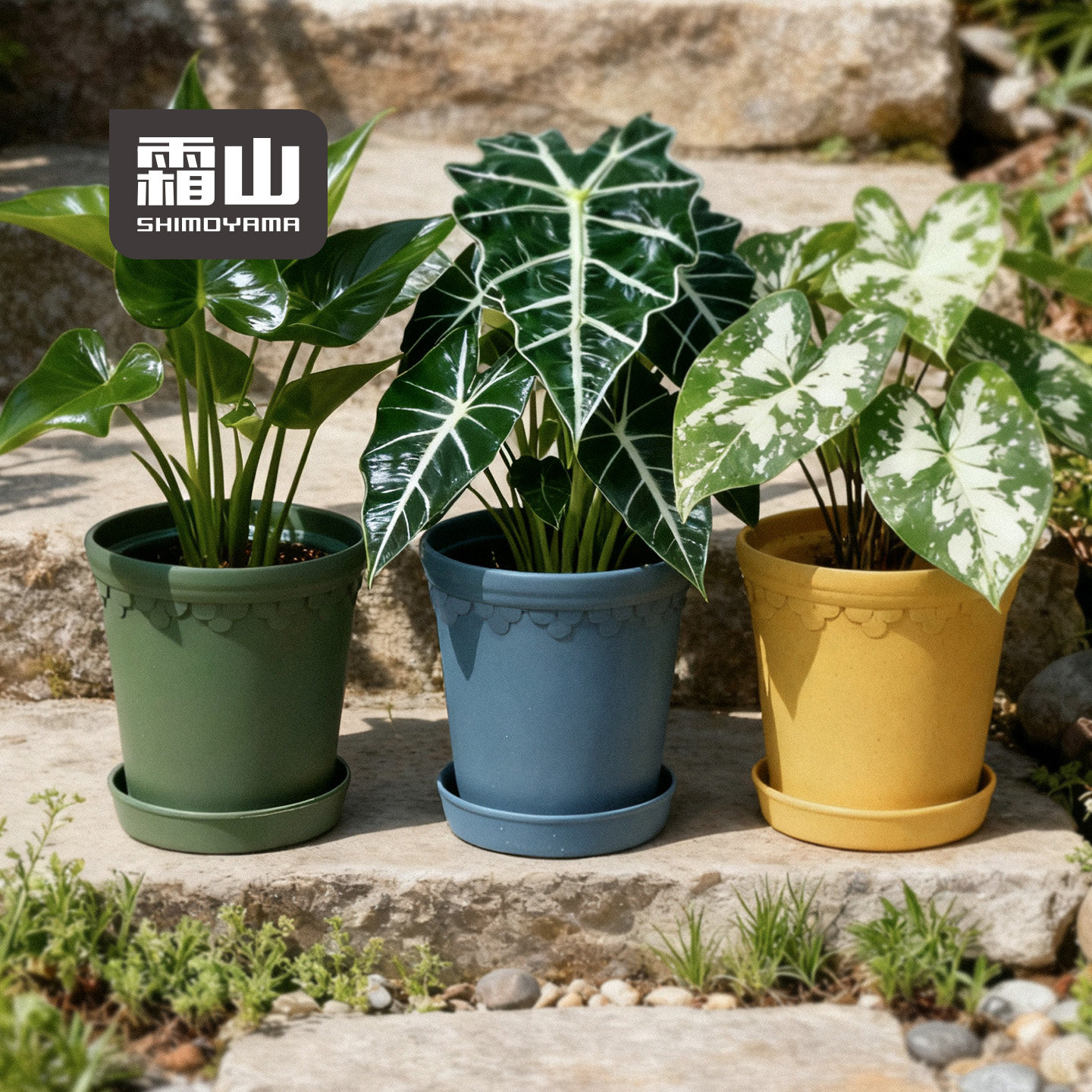 霜山花盆秸秆复古阳台蝴蝶兰郁金香种植盆仿陶家用带底托多肉盆栽,家居饰品,花盆,淘宝优惠券,粉丝福利购,淘宝优惠卷