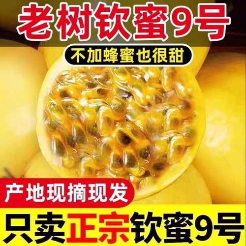海南钦密9号黄金百香果应季当季孕妇既然熟纯甜现摘现发果酱