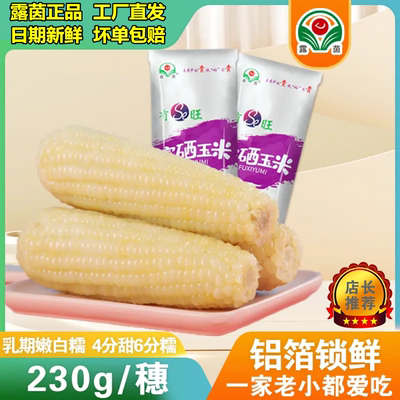 露茵嫩白糯富硒甜糯玉米非转基因精选老人孕妇早餐代餐230g*20穗