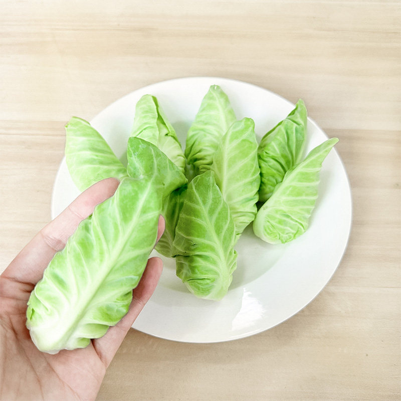 娃娃椰菜 雪莲菜 新鲜椰菜苗500克雪莲苗云南精品特色菜酒店