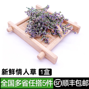 包邮 新鲜情人草1盒 任搭5份 饰花草 酒店西餐料理冷艺点缀摆盘装