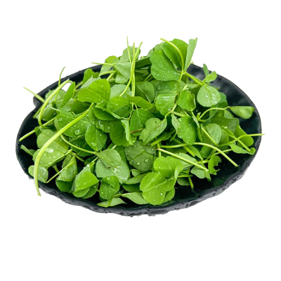 上海本地农家三叶苜蓿草金花菜