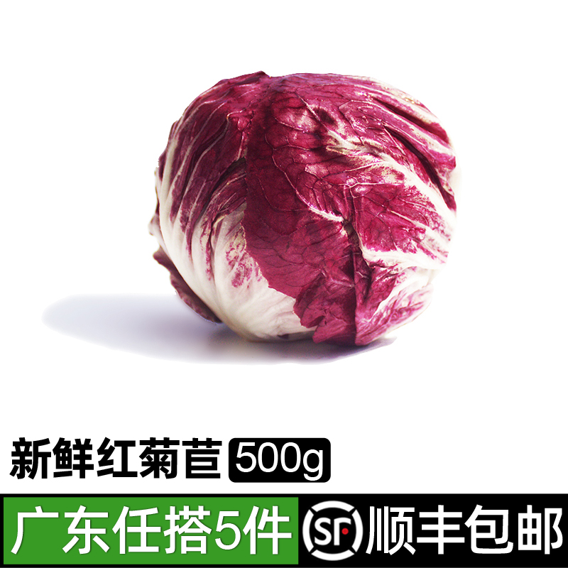 新鲜红菊苣500g 落地球生菜紫苣红叶包菜沙拉蔬菜食材 5件包邮