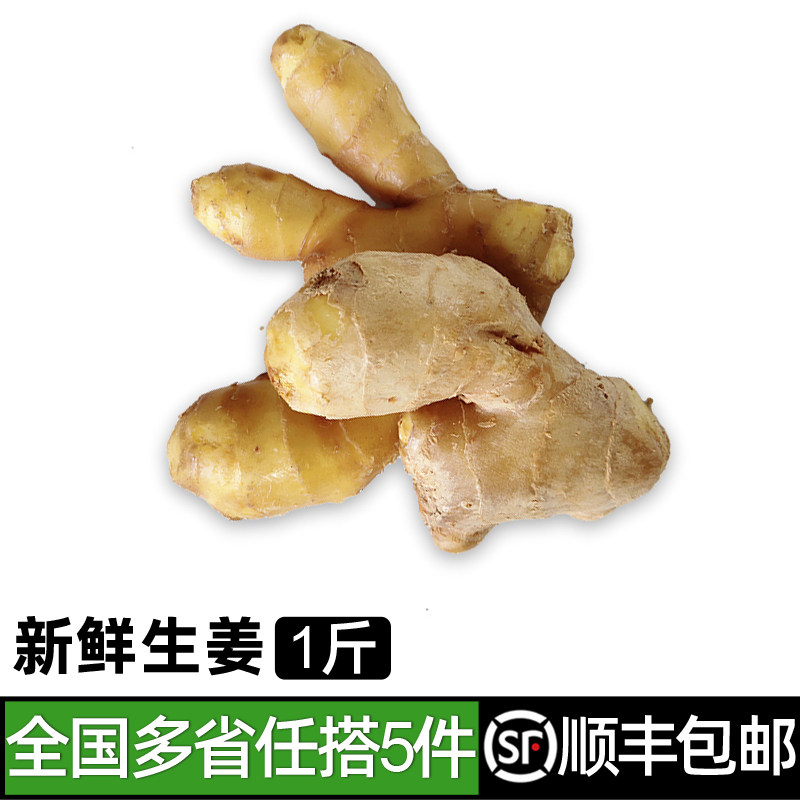生姜500g 新鲜蔬菜调味料大黄姜老姜干姜块月子姜 5件包邮
