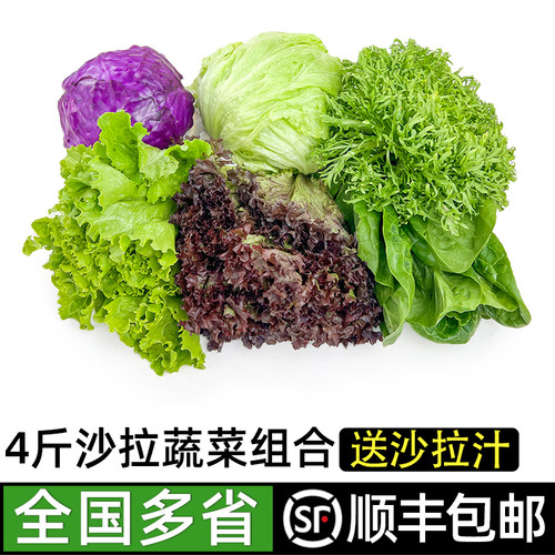 蔬菜沙拉新鲜混合色轻食健身餐