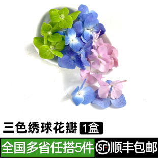 包邮 三色绣球花瓣1盒 5件 饰点缀 酒店西餐日料烘焙花草摆盘装