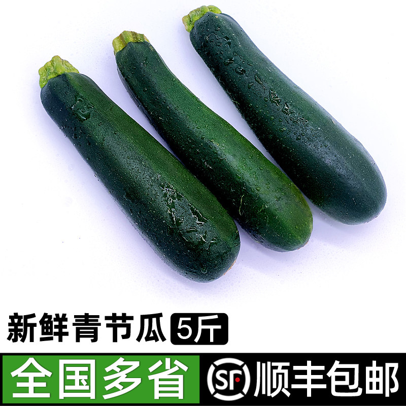 青节瓜5斤 新鲜蔬菜青西葫芦绿色青茄瓜炒菜凉拌 全国多省包邮