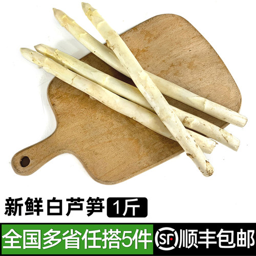 新鲜白芦笋1斤 中西餐铁板火锅生鲜食材配菜沙拉当季蔬菜炒菜凉拌