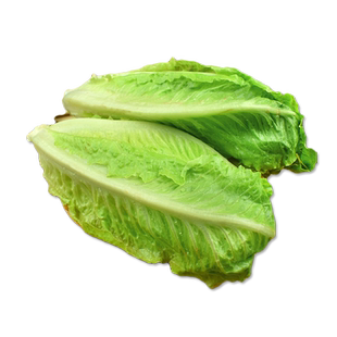 新鲜包罗生菜500g 包心罗纹罗马蔬菜西餐凉拌沙拉生菜食材5件包邮