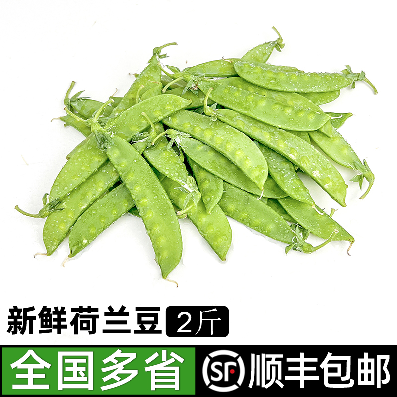 新鲜荷兰豆2斤 青豆豌豆新鲜时令蔬菜 多省顺丰包邮