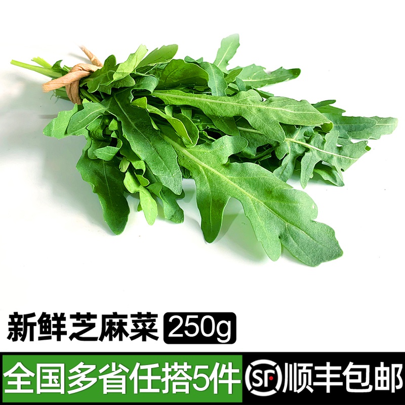 绿食者芝麻叶250g新鲜芝麻菜生菜火箭菜西餐蔬菜沙拉生菜食材-封面