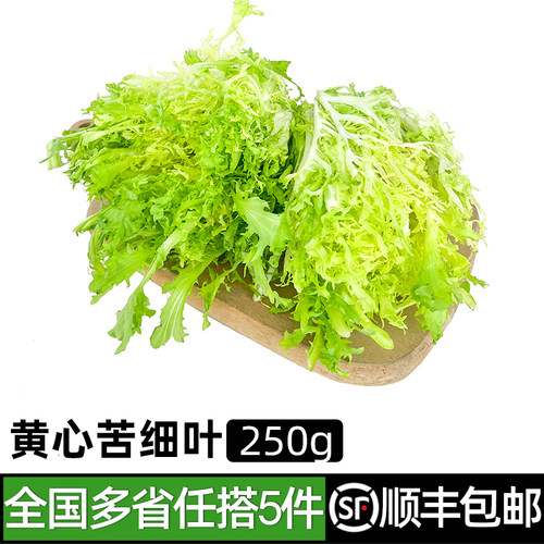 新鲜黄心苦菊250g苦叶生菜食材