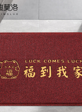 入户门垫进门地垫红色门外大门口蹭脚垫2024新款玄关进户丝圈地毯