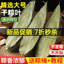 竹叶子干粽叶商用箬叶批发专用 粽子叶粽叶干大号棕叶新鲜包粽子