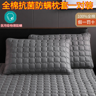48X74cm单人枕芯套枕头内胆套 全棉抗菌防螨虫夹棉枕套一对二只装