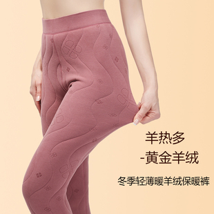 女加羊绒冬季 内穿高腰秋裤 轻薄暖棉裤 羊毛裤 夹绒加厚大码 保暖裤