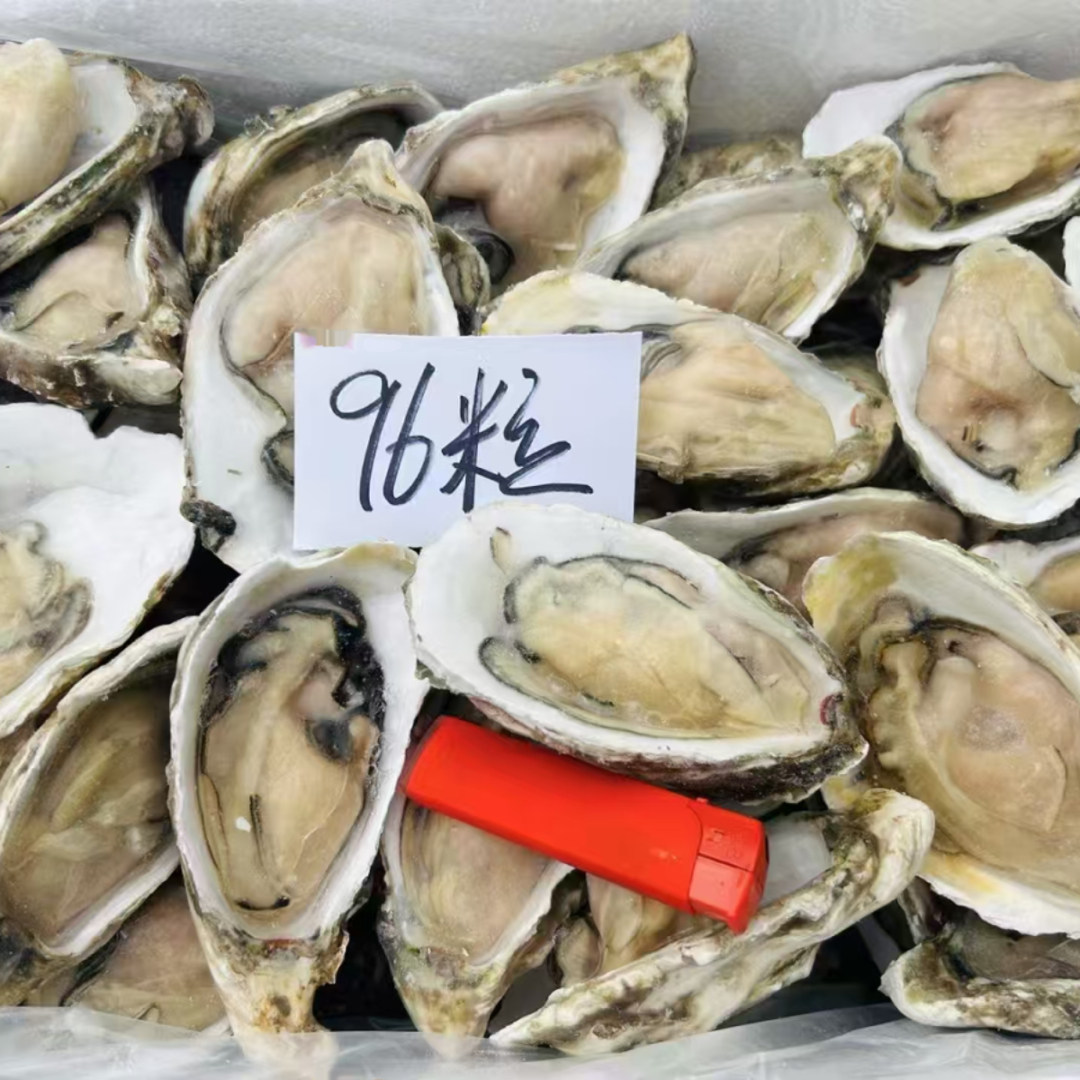 乳山生蚝液氮冻原浆半壳牡蛎水母海鲜烧烤食材不用开壳速冻锁鲜