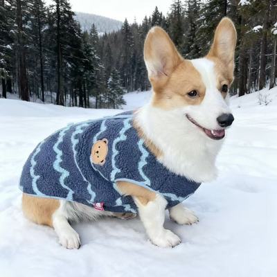 啵啵狗狗狗冬季保暖韩版时尚简约