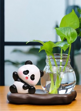 可爱卡通熊猫水培器皿绿萝花瓶