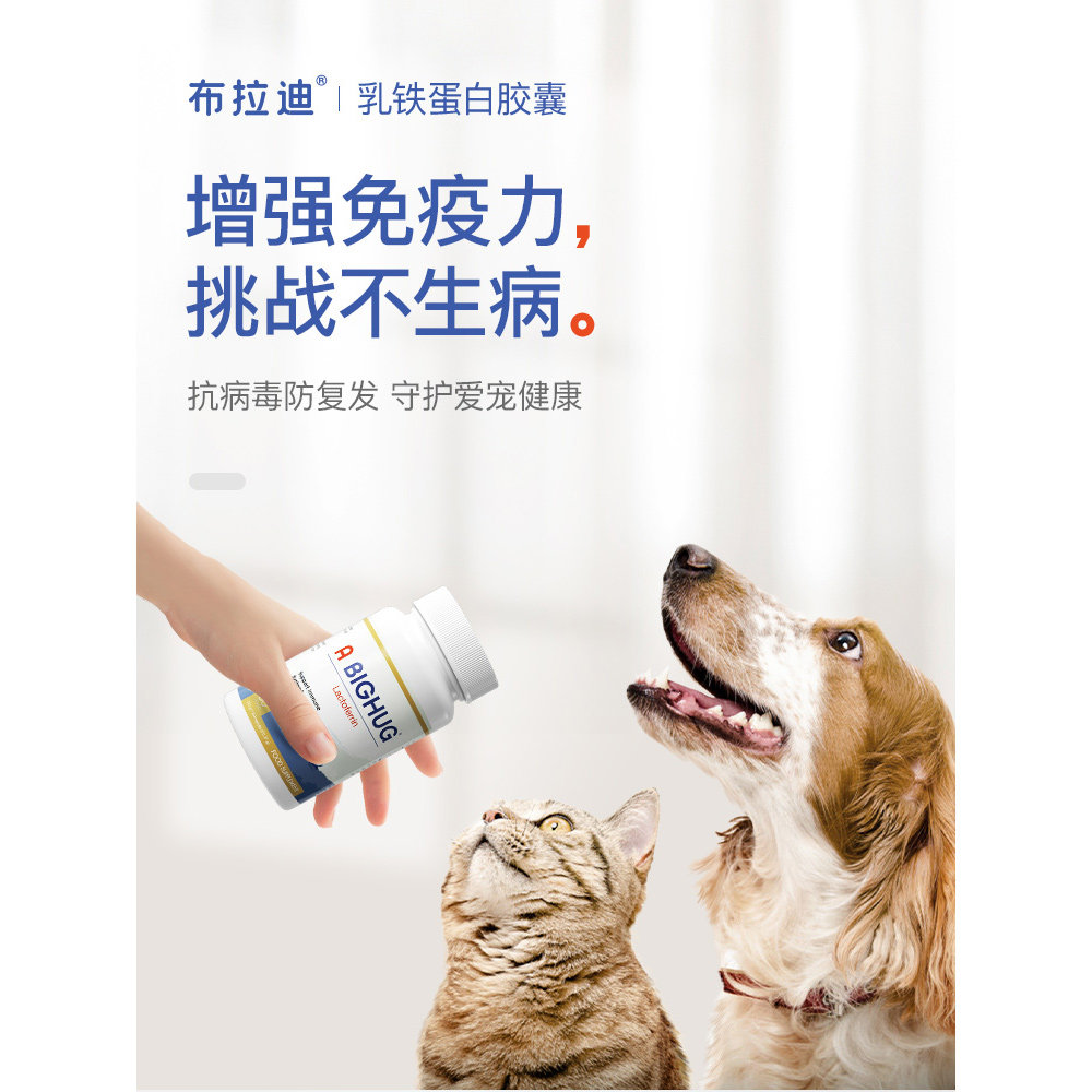 布拉迪乳铁蛋白胶囊60粒 远离猫鼻支 增强抵抗力猫咪狗狗