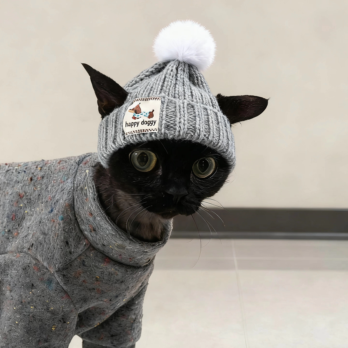 猫咪帽子狗狗秋冬款针织毛线帽舒适保暖宠物头套布偶英短比熊泰迪