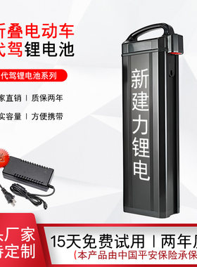 48V代驾雅迪新日深远折叠车电池