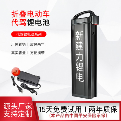 48V代驾雅迪新日深远折叠车电池