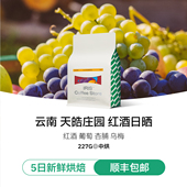 IRIS云南新产季 精品手冲咖啡豆红酒日晒葡萄中度烘焙新鲜烘焙227g