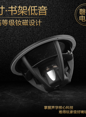 8寸高保真发烧低音喇叭力度与弹性兼得媲美威发/皮亚力士NE225W
