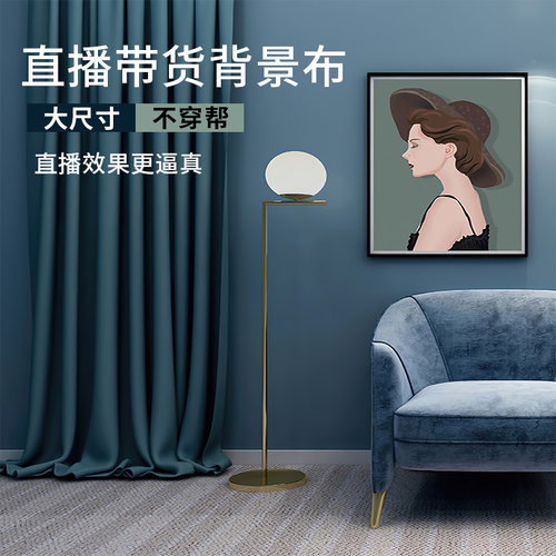 书房简约直播背景布3d立体直播间装饰网红主播拍照背景墙挂布房间布置农村户外山水花大海边抖音高清场景背景