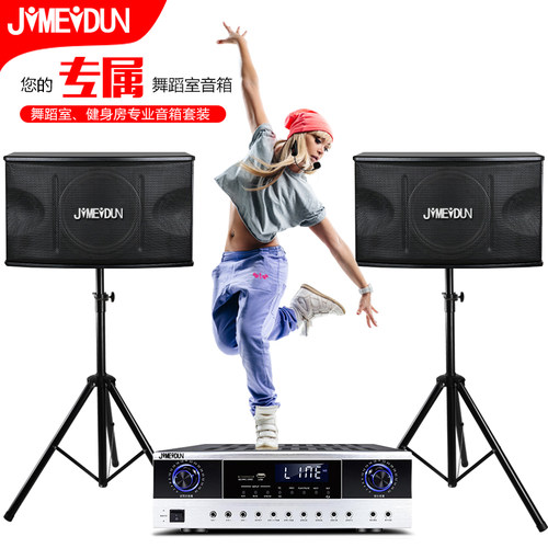 JIMEIDUN家庭专用ktv唱歌店铺会议音箱舞台球演出舞蹈室音响套装
